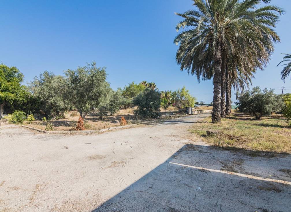 Resale - Villa - Elche - Elche / Elx