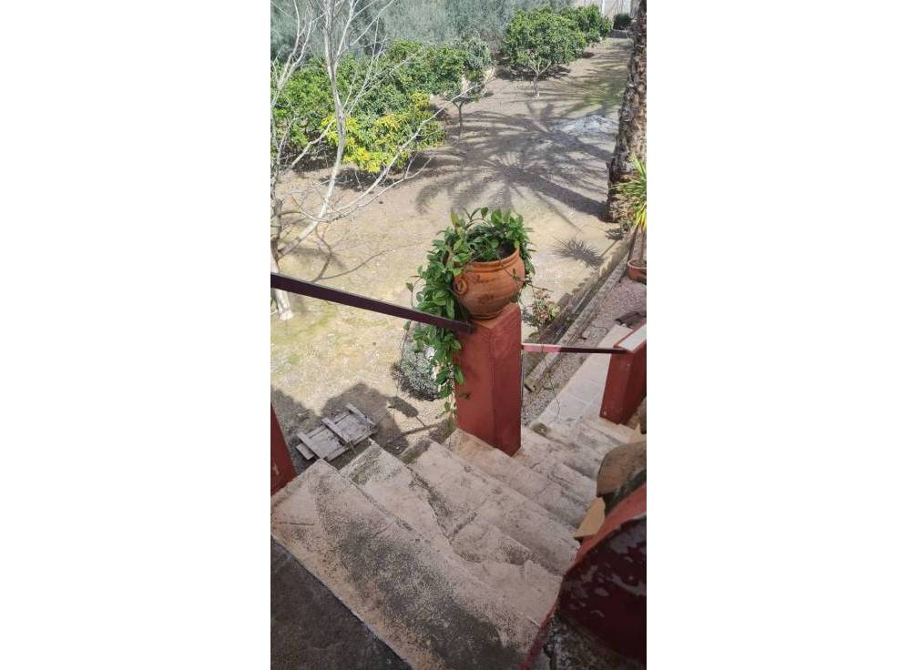 Resale - Villa - Elche Pedanías - Algoda