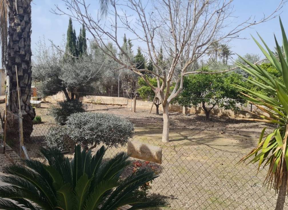 Resale - Villa - Elche Pedanías - Algoda