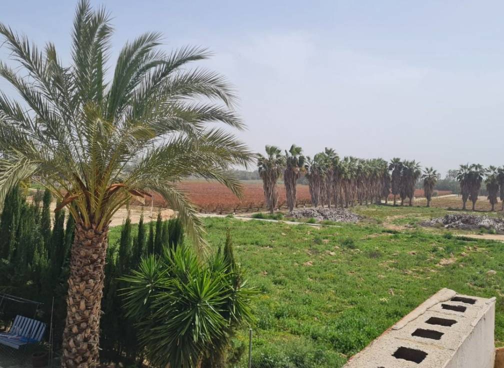 Resale - Villa - Elche Pedanías - Algoda