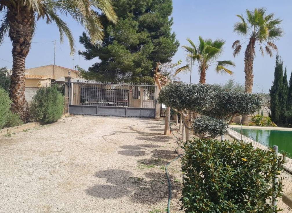 Resale - Villa - Elche Pedanías - Algoda