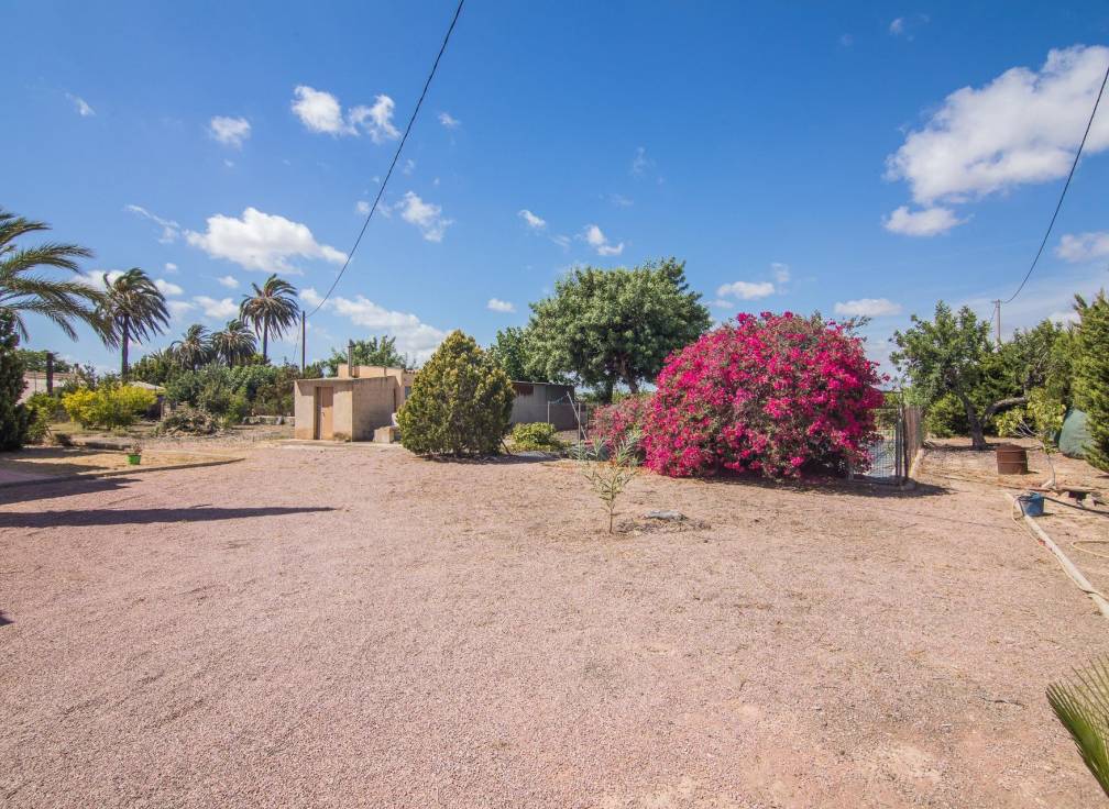 Resale - Villa - Elche Pedanías - Alzabares