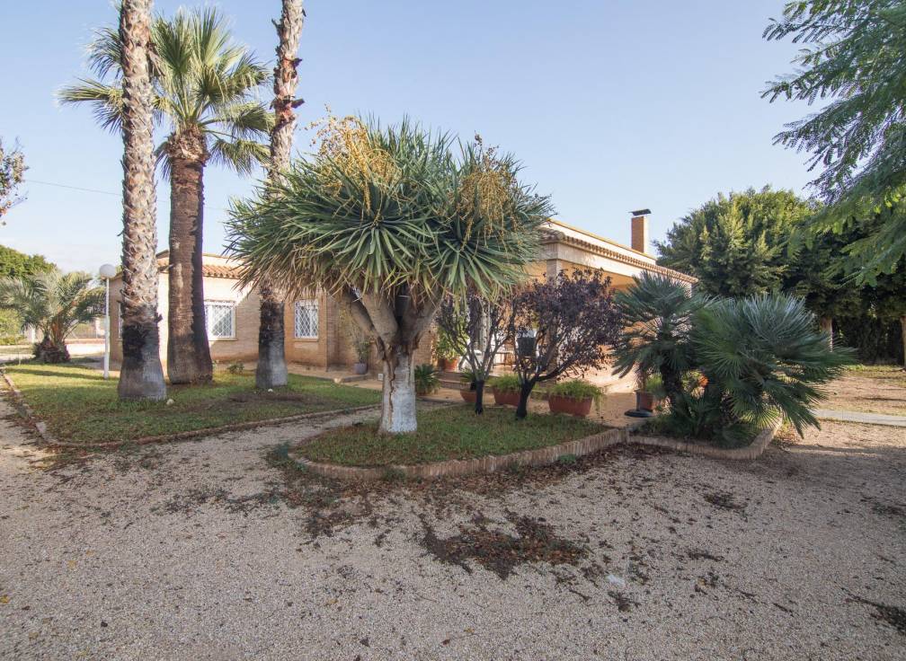 Resale - Villa - Elche Pedanías - Alzabares