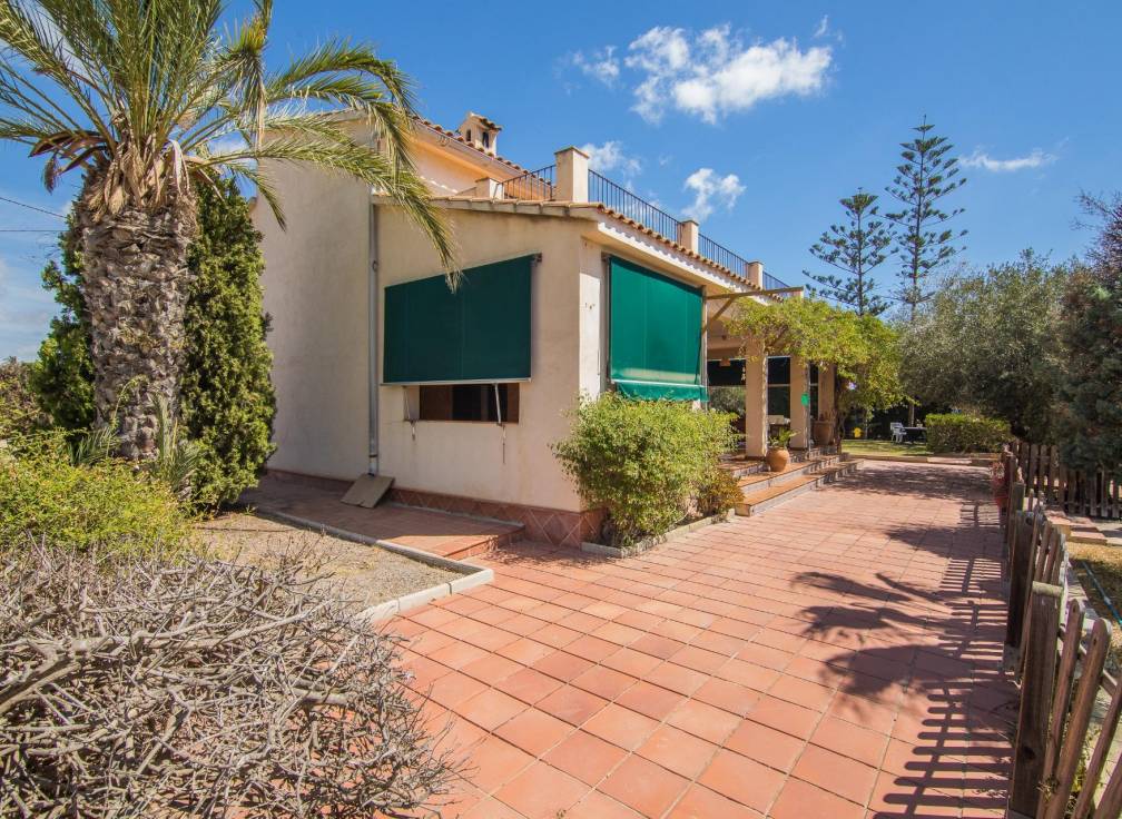 Resale - Villa - Elche Pedanías - Alzabares