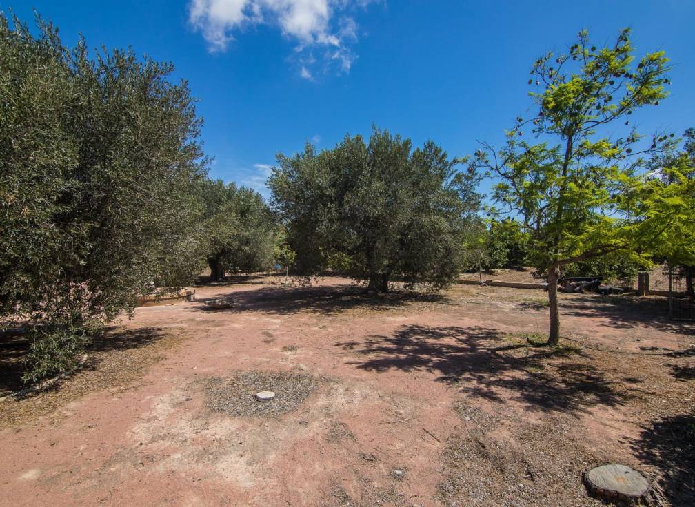 Resale - Villa - Elche Pedanías - Alzabares