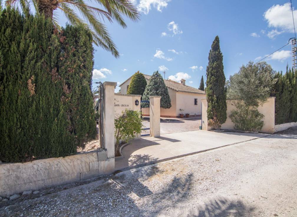Resale - Villa - Elche Pedanías - Alzabares