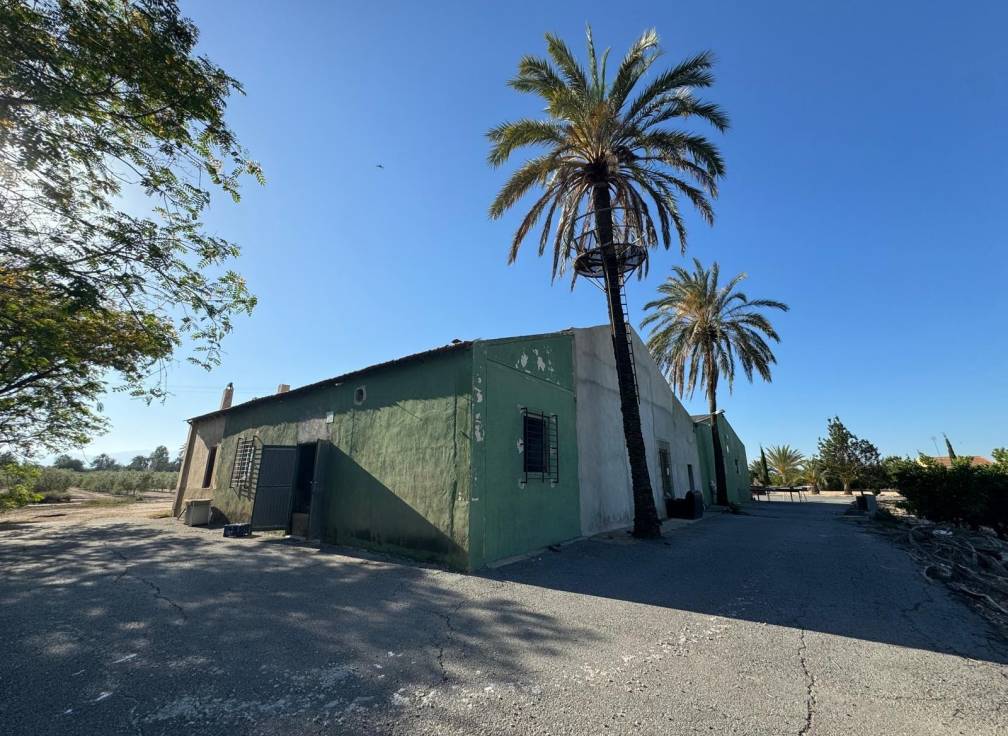 Resale - Villa - Elche Pedanías - Daimés