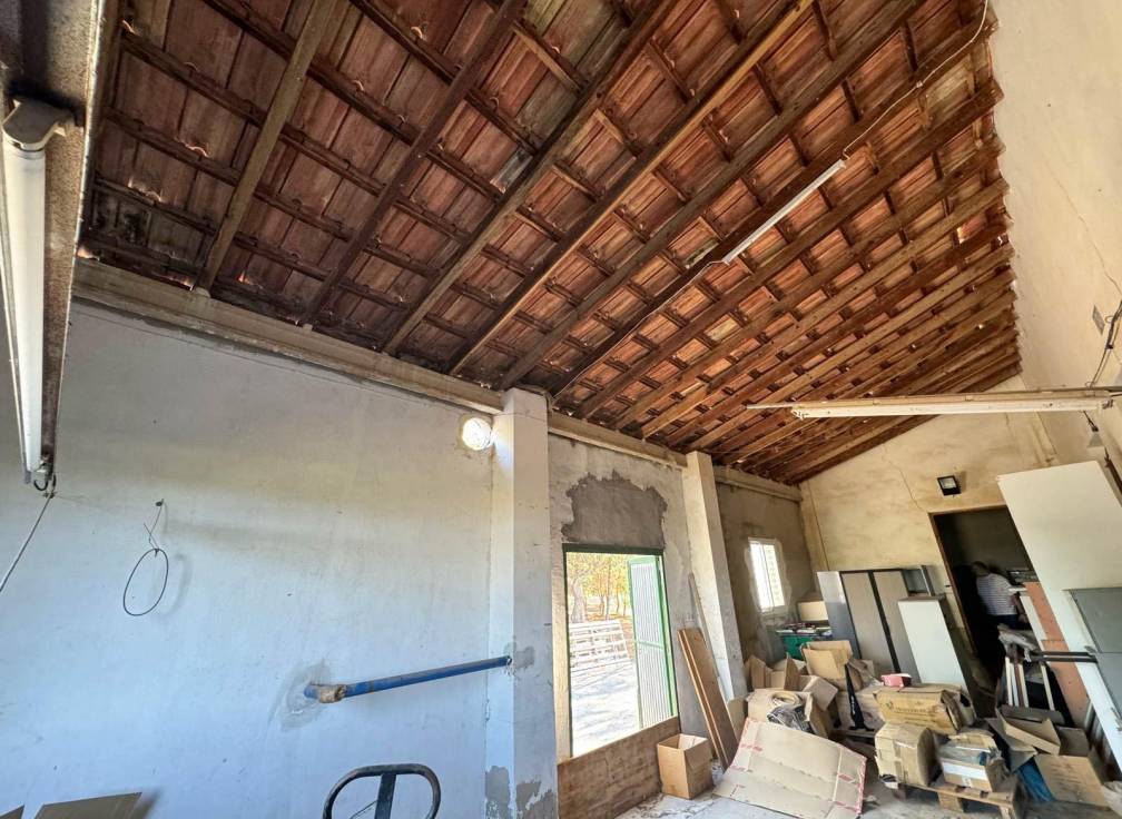 Resale - Villa - Elche Pedanías - Daimés