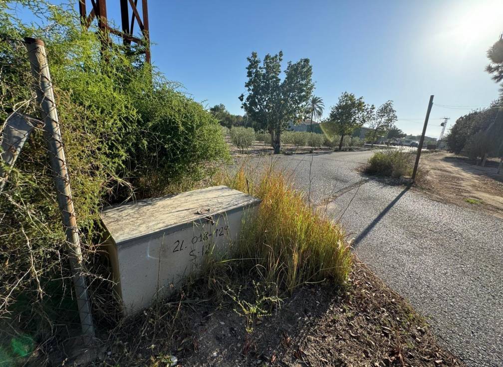 Resale - Villa - Elche Pedanías - Daimés