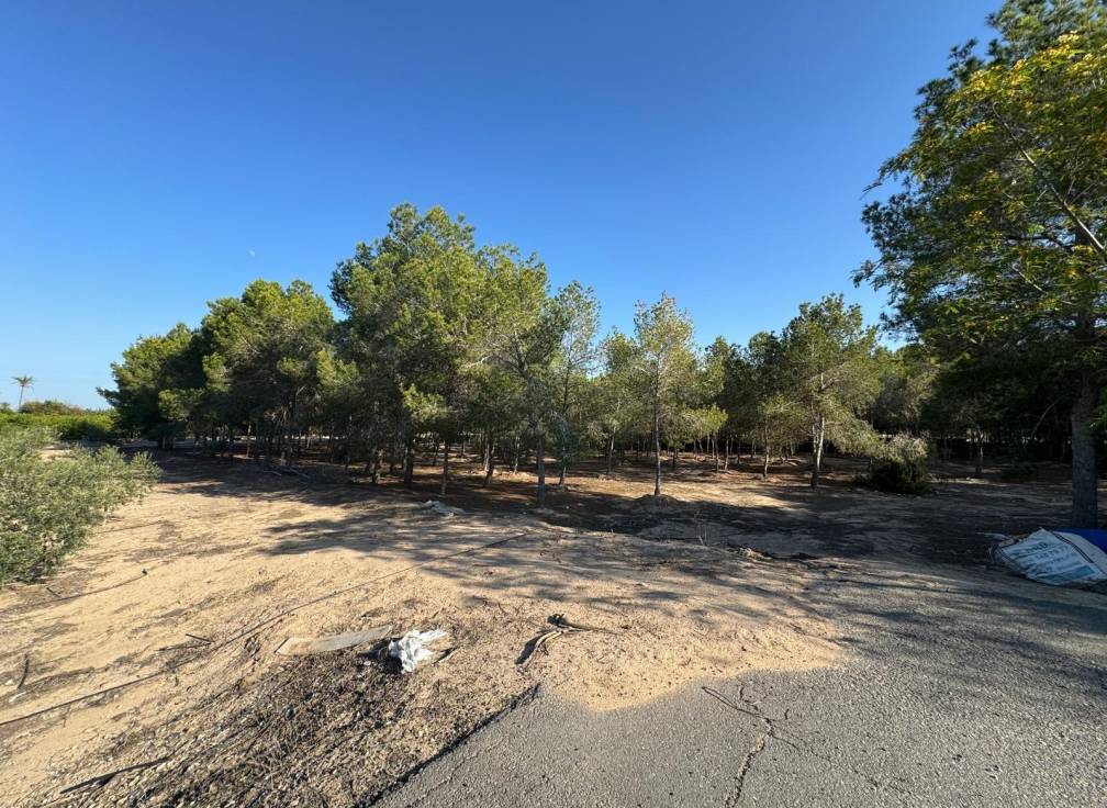 Resale - Villa - Elche Pedanías - Daimés