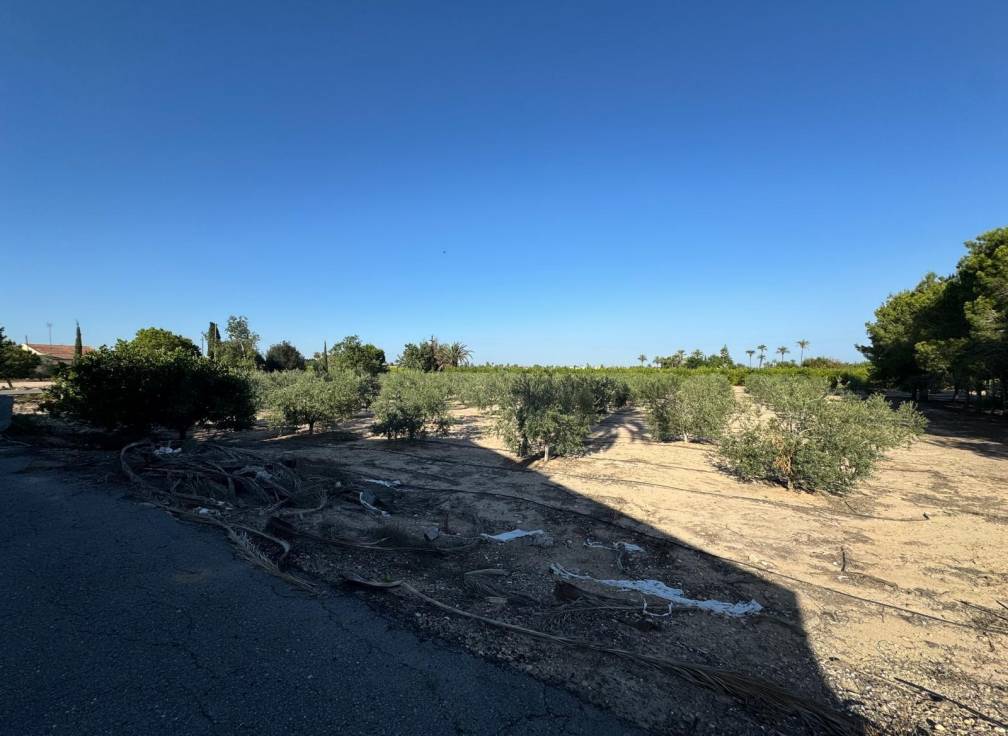 Resale - Villa - Elche Pedanías - Daimés