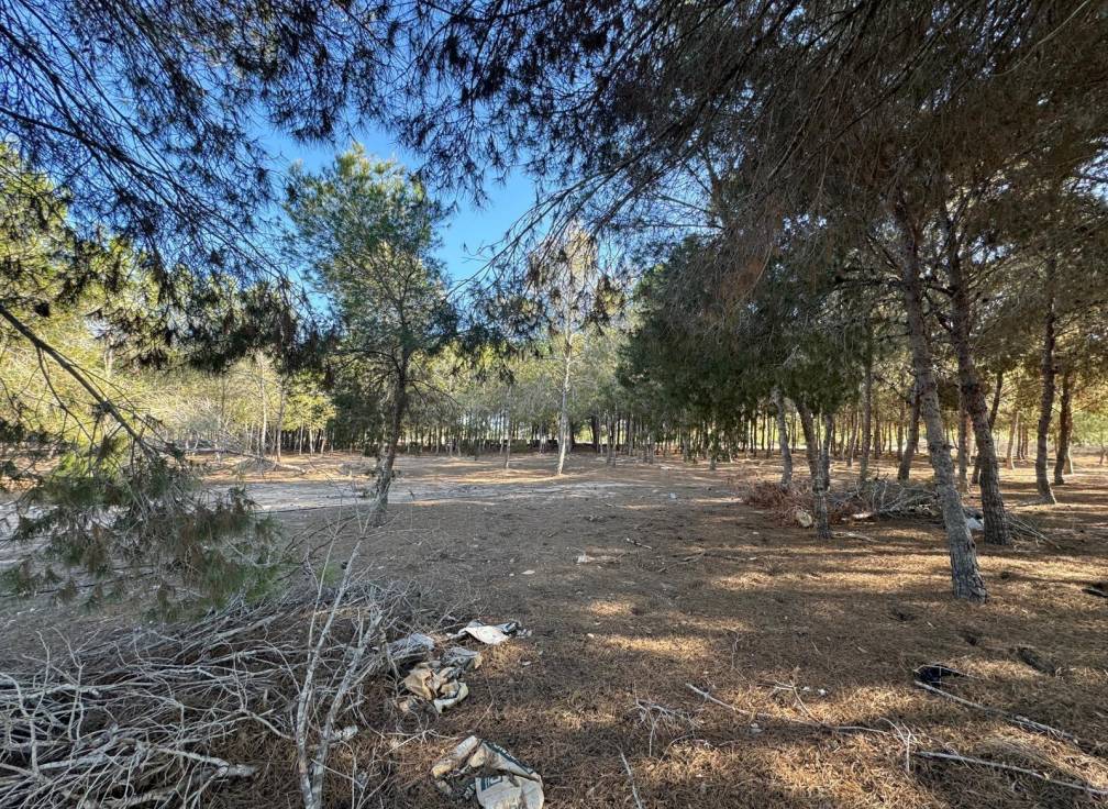 Resale - Villa - Elche Pedanías - Daimés