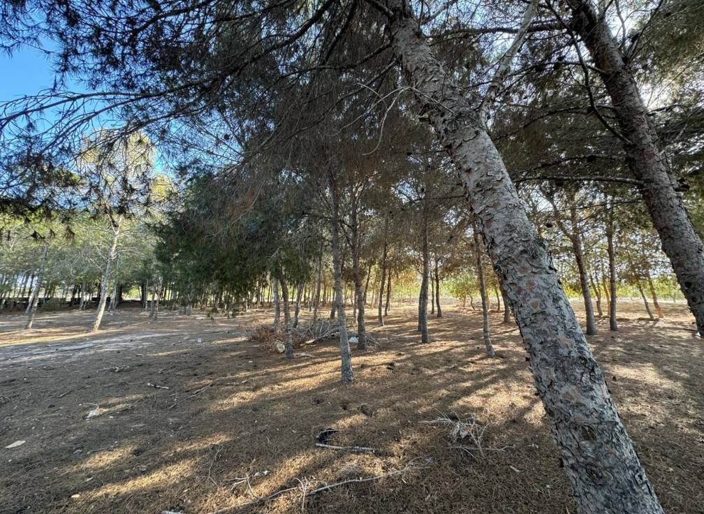 Resale - Villa - Elche Pedanías - Daimés