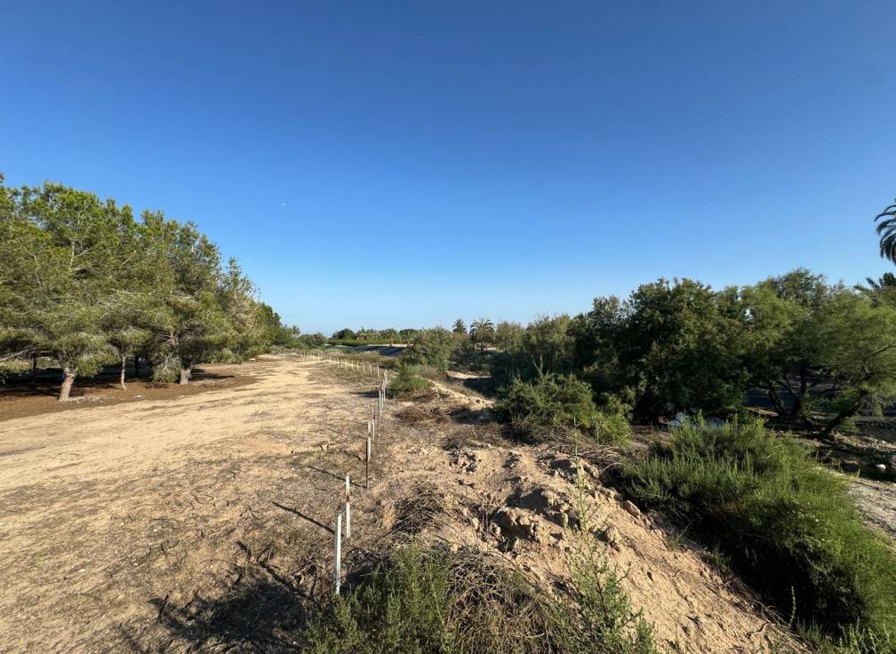 Resale - Villa - Elche Pedanías - Daimés