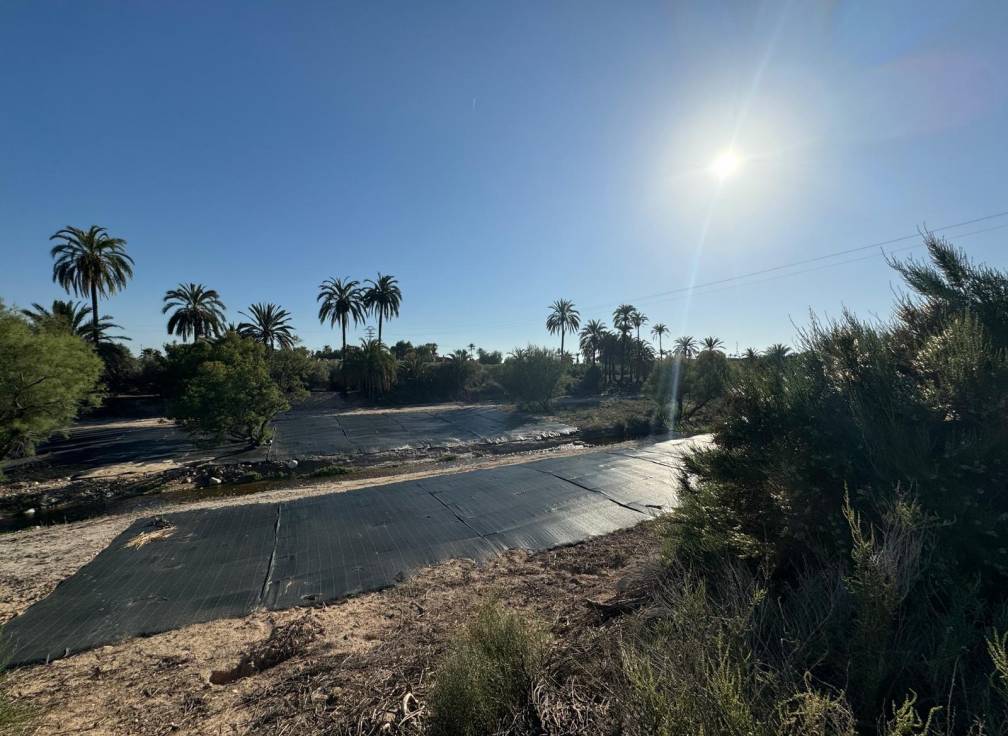 Resale - Villa - Elche Pedanías - Daimés