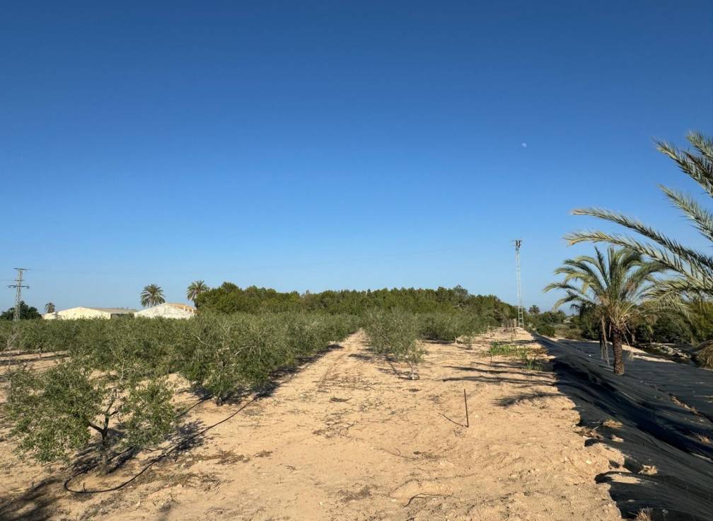 Resale - Villa - Elche Pedanías - Daimés