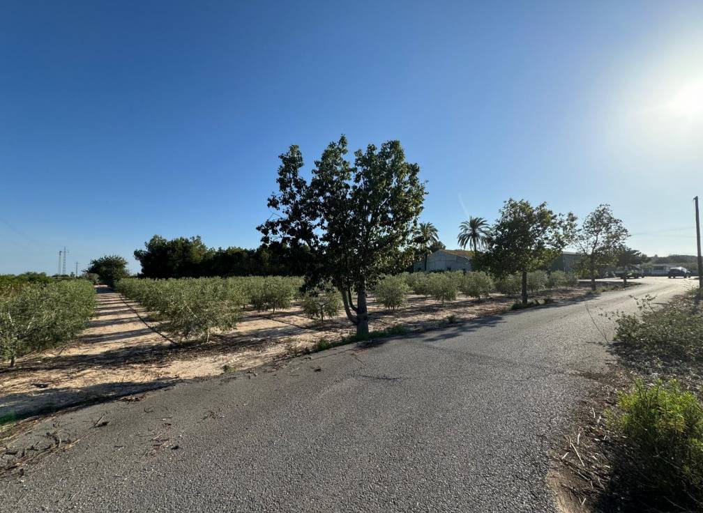 Resale - Villa - Elche Pedanías - Daimés