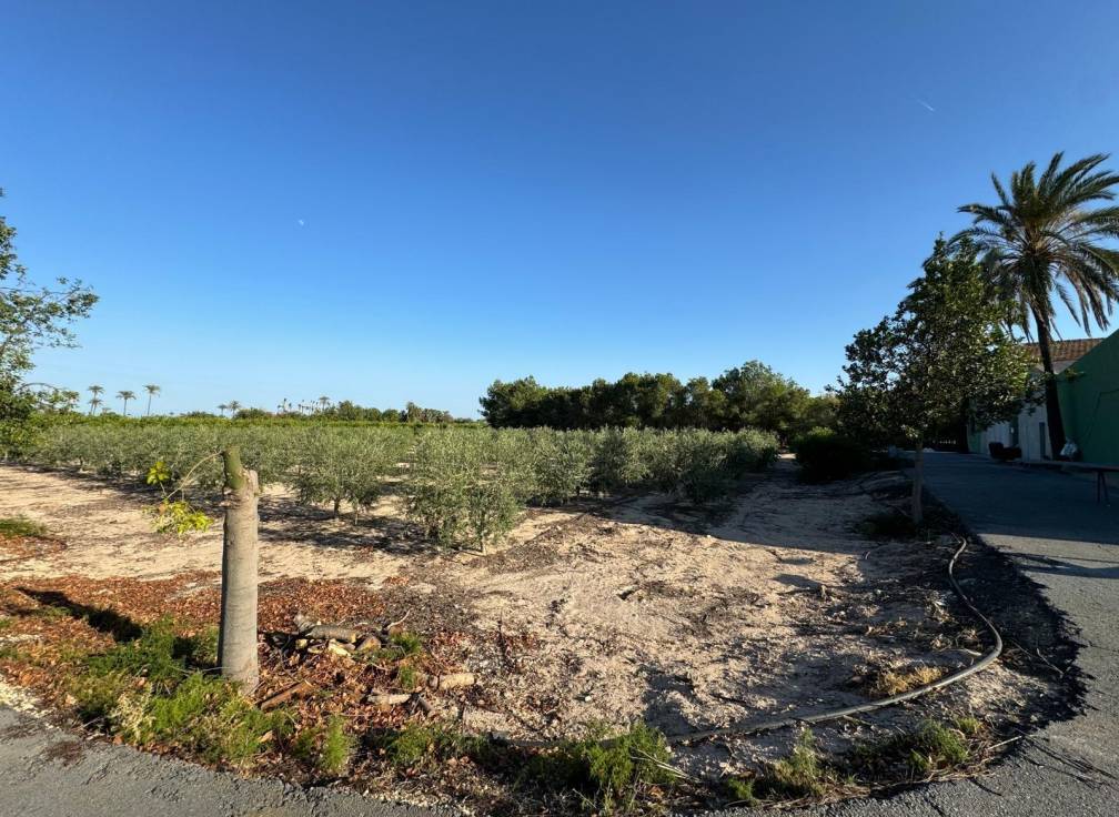 Resale - Villa - Elche Pedanías - Daimés