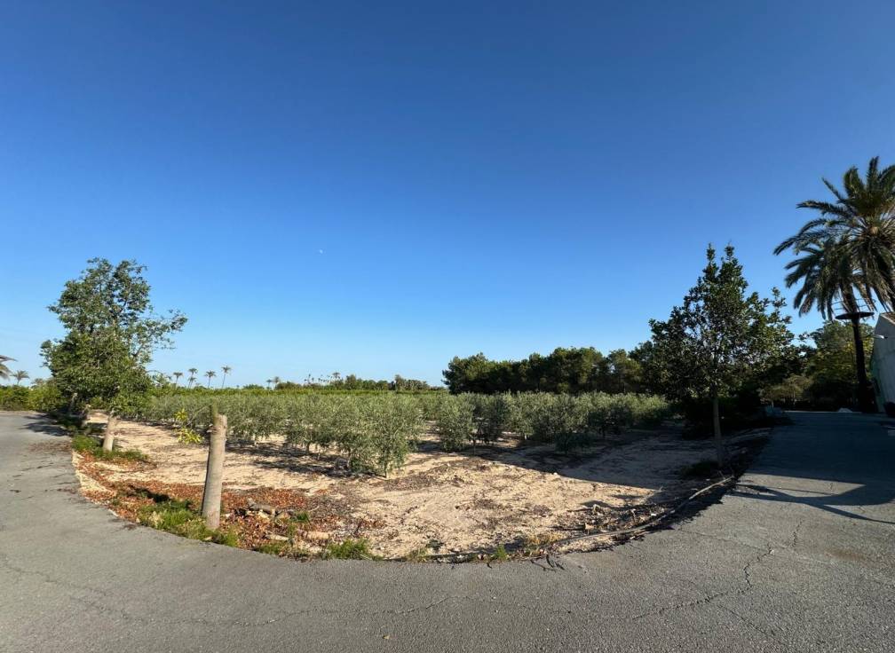 Resale - Villa - Elche Pedanías - Daimés