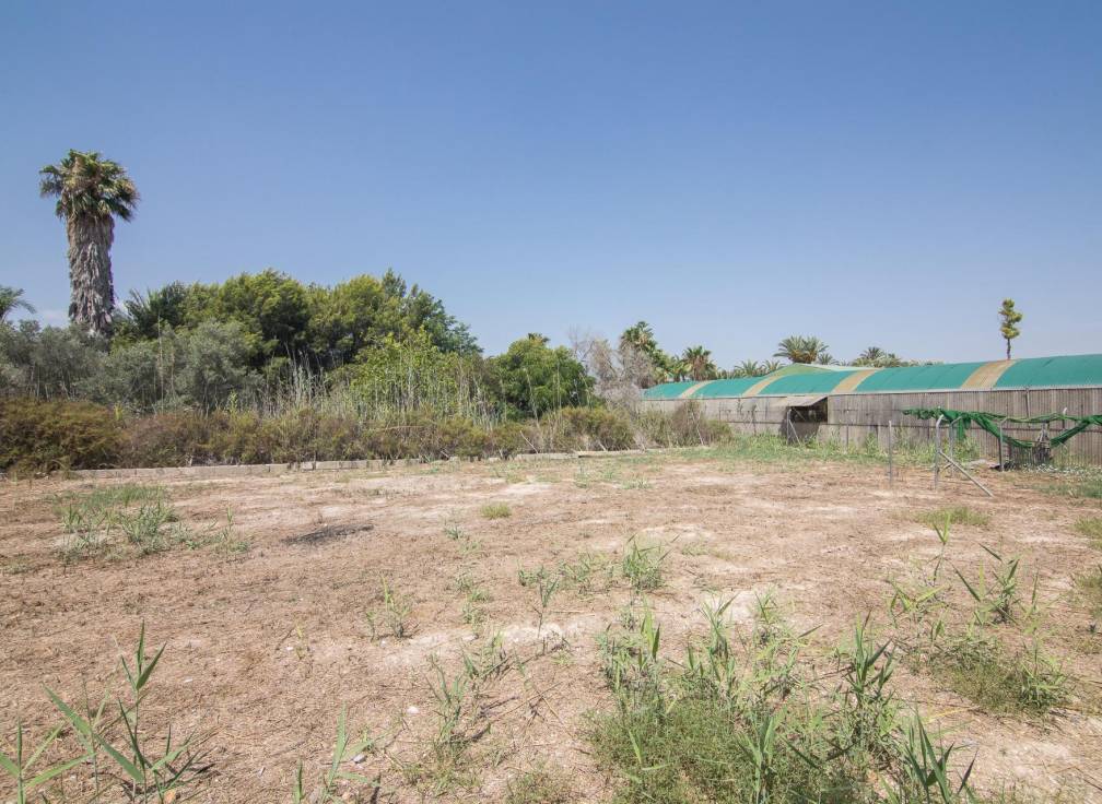 Resale - Villa - Elche Pedanías - La Hoya