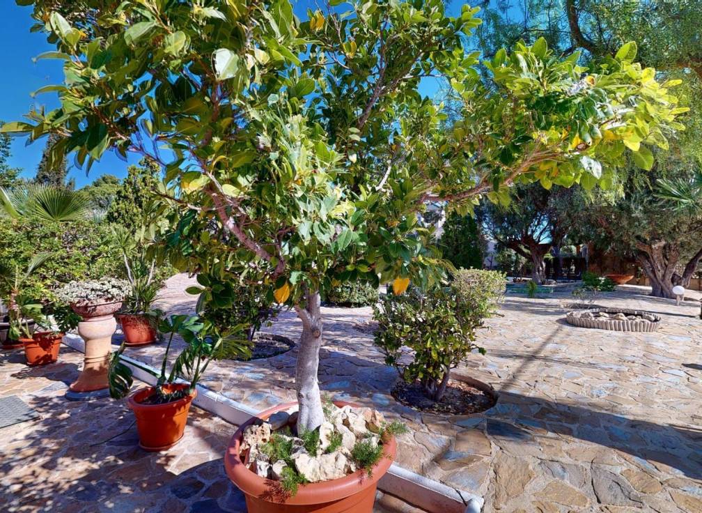 Resale - Villa - Elche Pedanías - Peña las Águilas