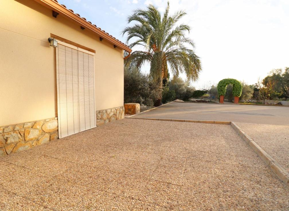 Resale - Villa - Elche Pedanías - Pussol