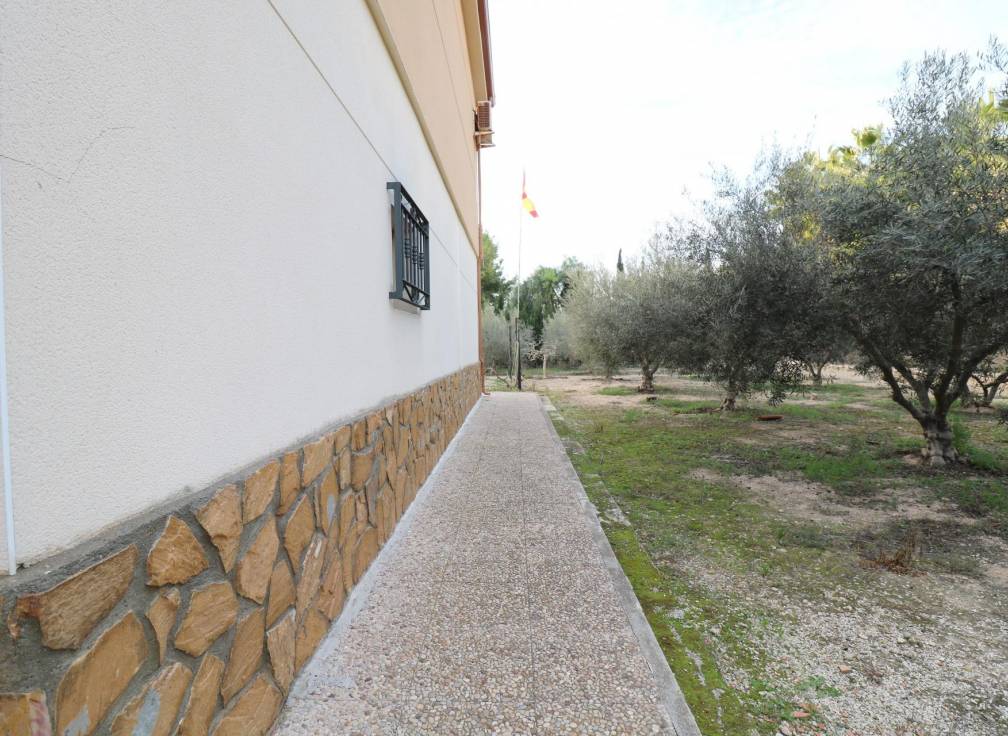 Resale - Villa - Elche Pedanías - Pussol