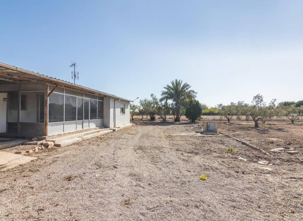 Resale - Villa - Elche Pedanías - xLas bayas
