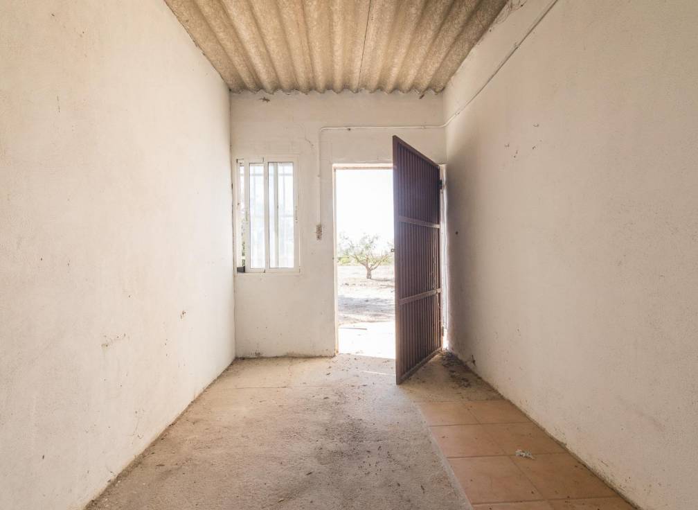 Resale - Villa - Elche Pedanías - xLas bayas