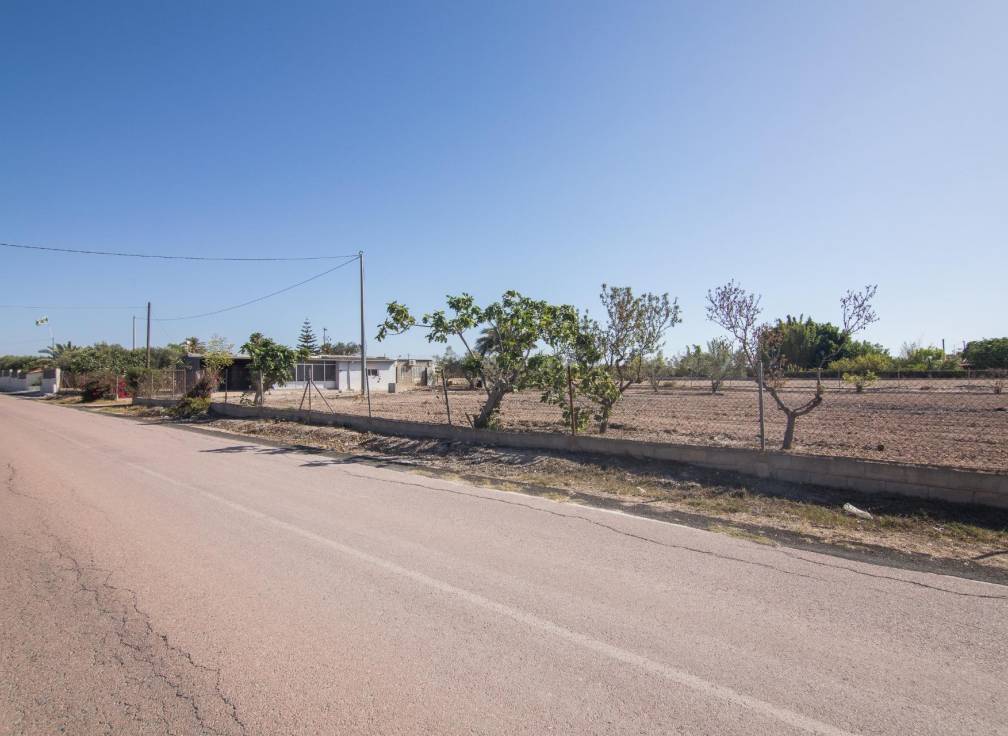 Resale - Villa - Elche Pedanías - xLas bayas