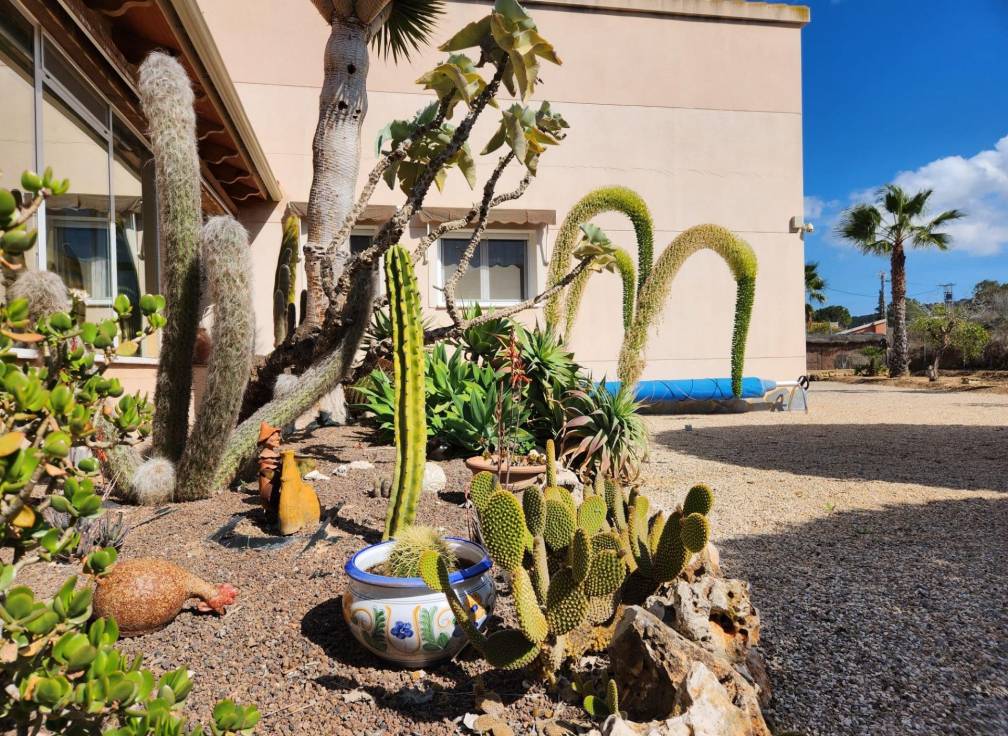 Resale - Villa - Jacarilla