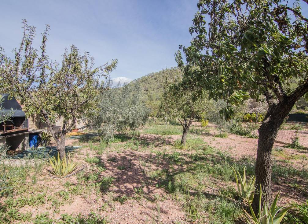 Resale - Villa - Monovar - Monover - LA ROMANETA