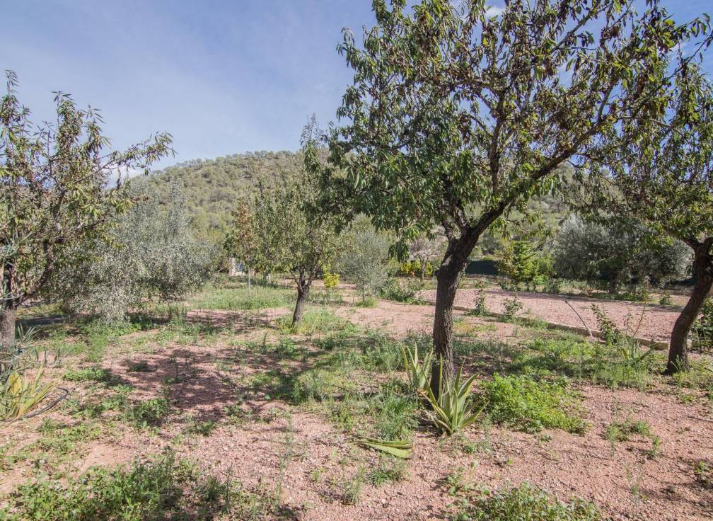 Resale - Villa - Monovar - Monover - LA ROMANETA