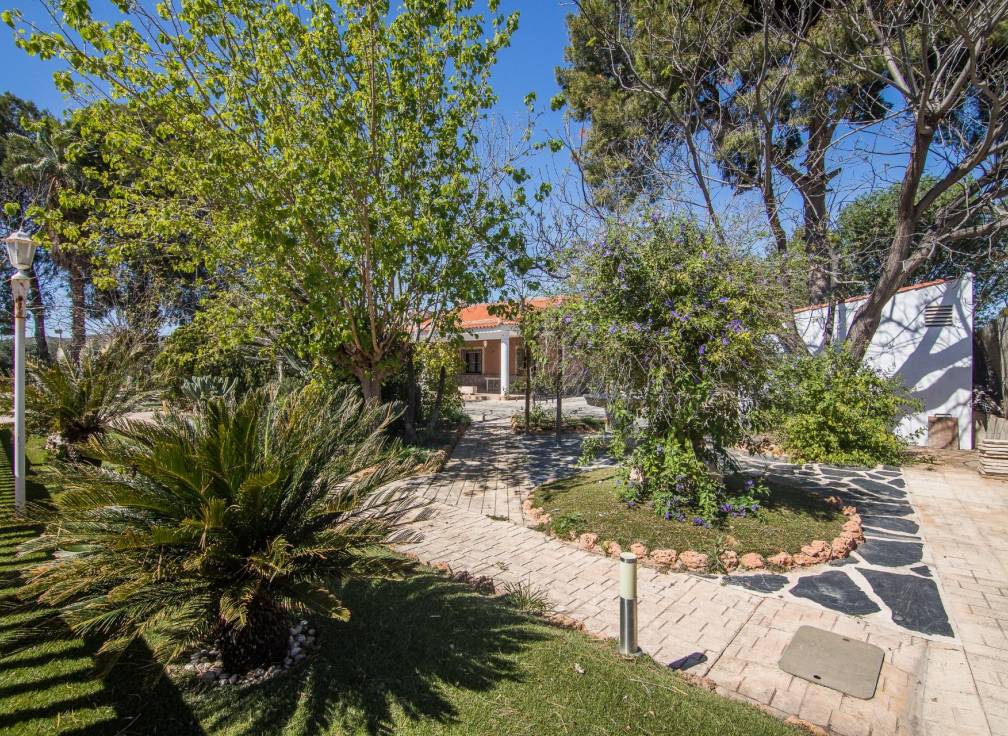 Resale - Villa - Redován - REDOVAN Redovan