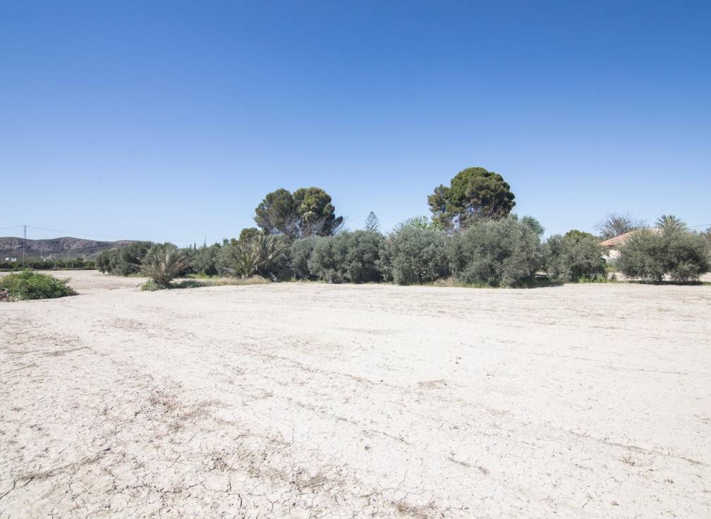 Resale - Villa - Redován - REDOVAN Redovan