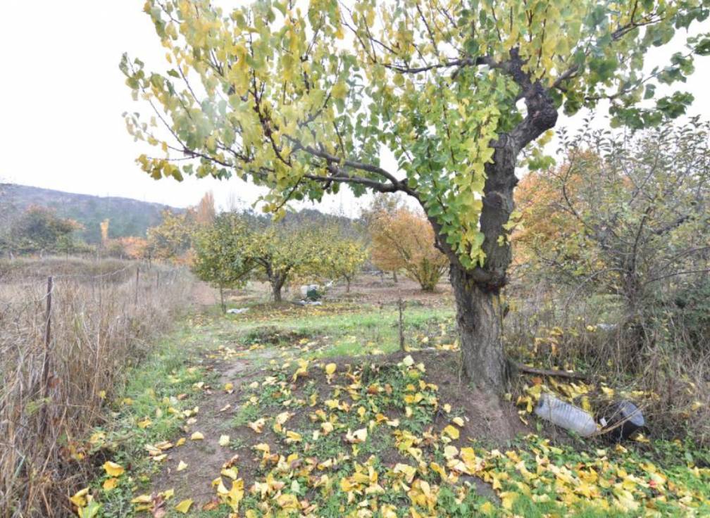 Resale - Villa - Riopar - Castilla la mancha