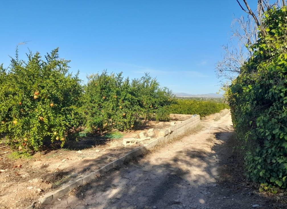 Resale - Villa - Santa Pola - Norte