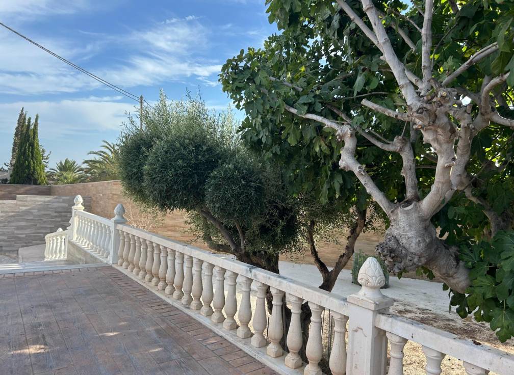 Resale - Villa - Torrellano