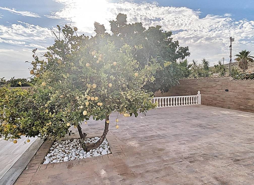 Resale - Villa - Torrellano