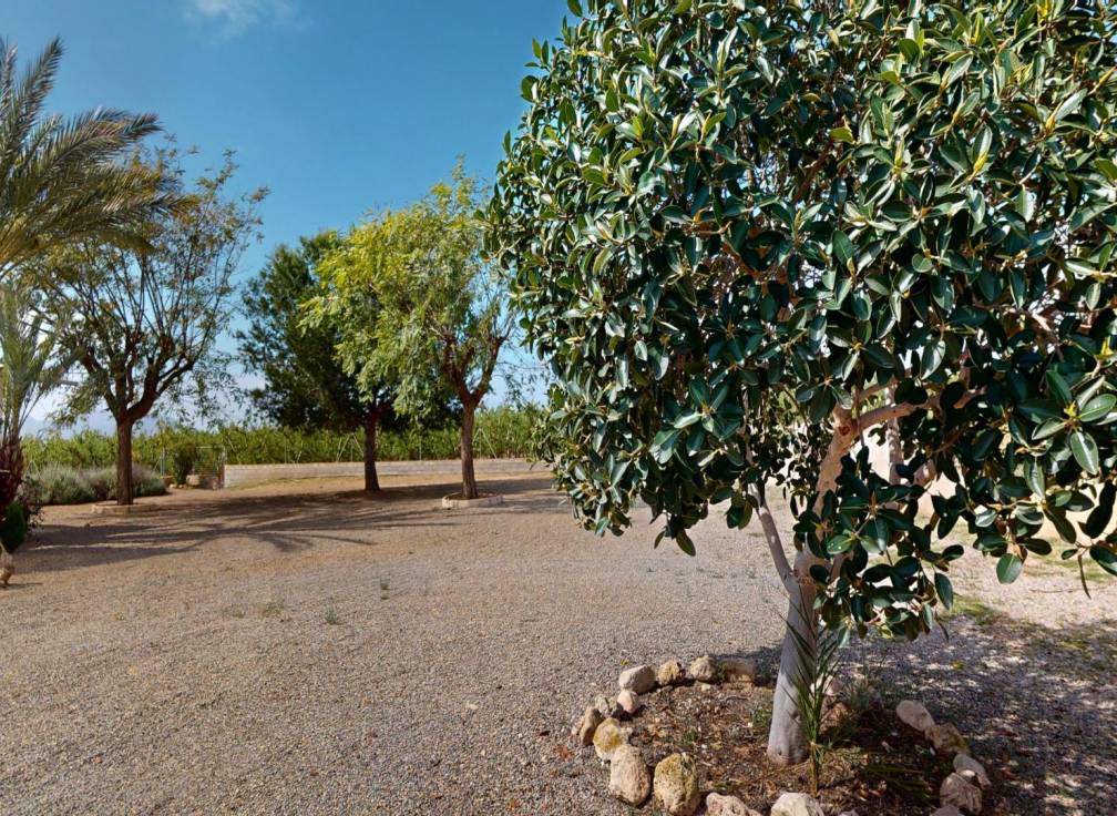 Revente -  - Albatera - Partida del Moco