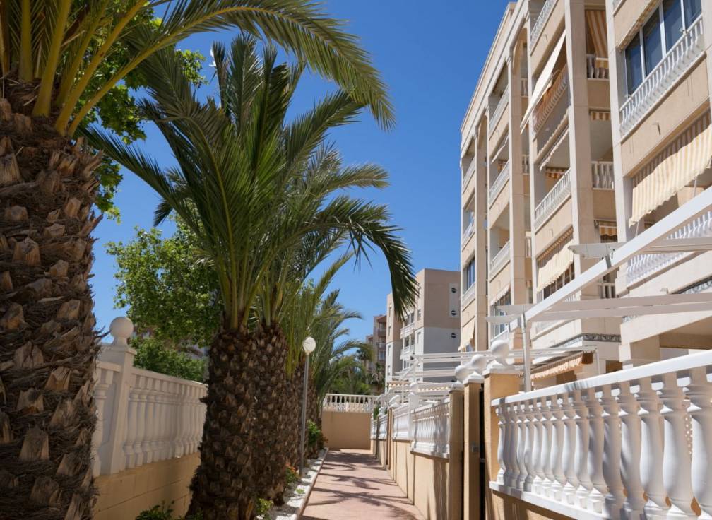 Revente - Appartement - Arenales del Sol - Avenida costa blanca
