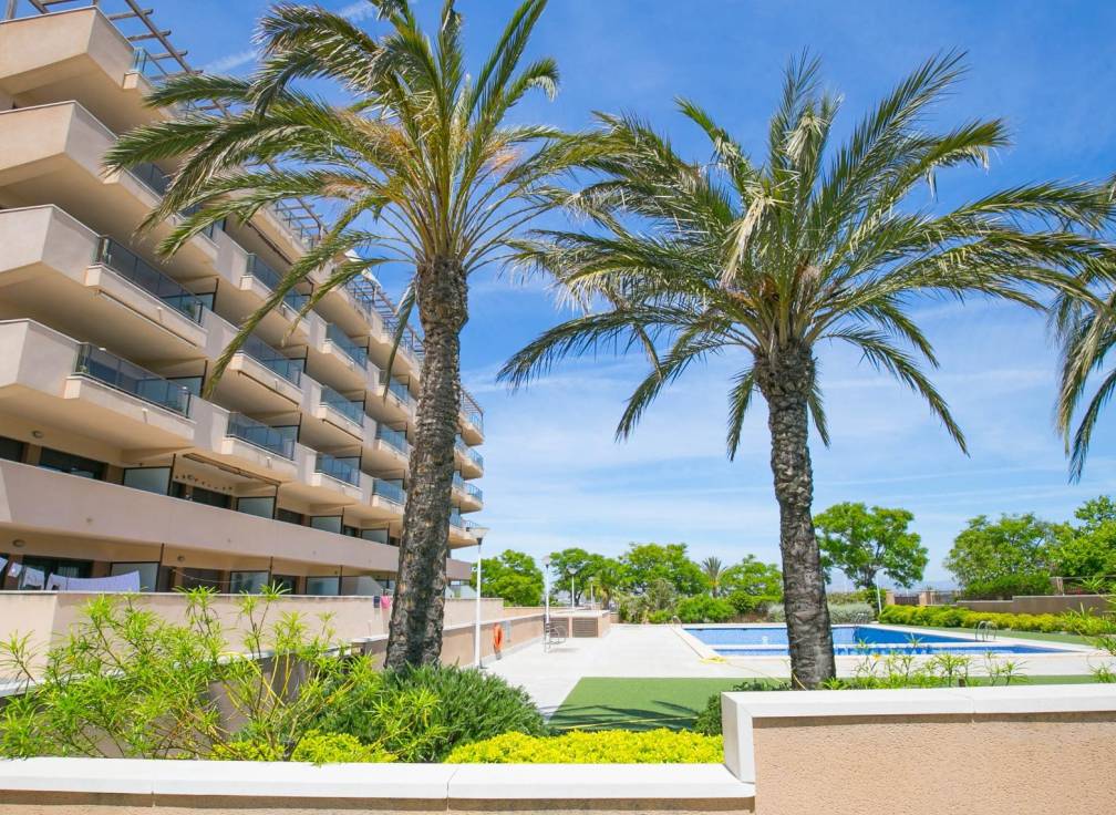 Revente - Appartement - Arenales del Sol - Calle valladolid