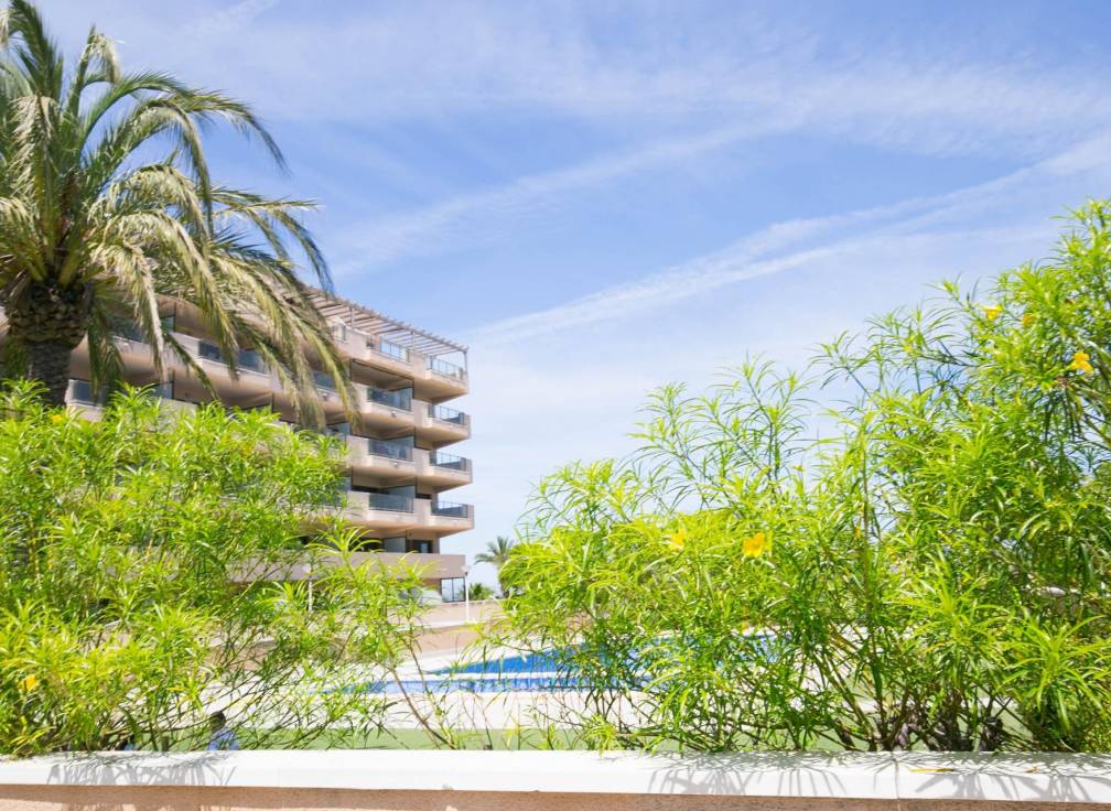 Revente - Appartement - Arenales del Sol - Calle valladolid