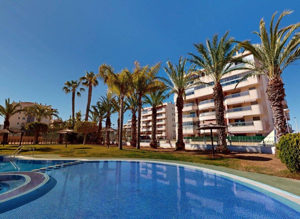Revente - Appartement - Arenales del Sol