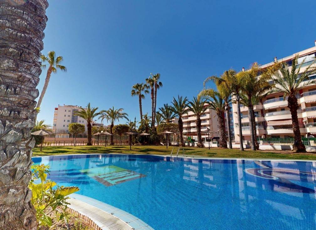 Revente - Appartement - Arenales del Sol