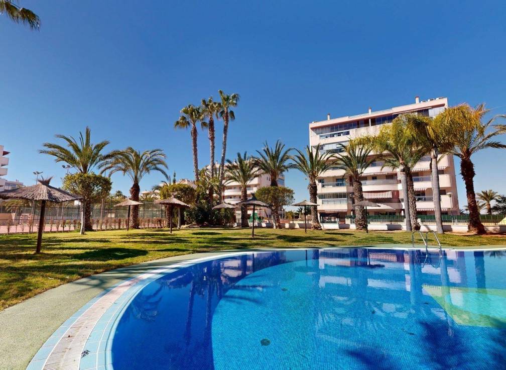 Revente - Appartement - Arenales del Sol