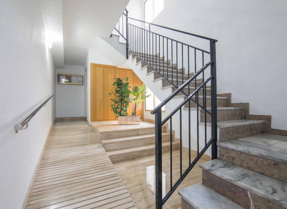 Revente - Appartement - Elche - Altabix