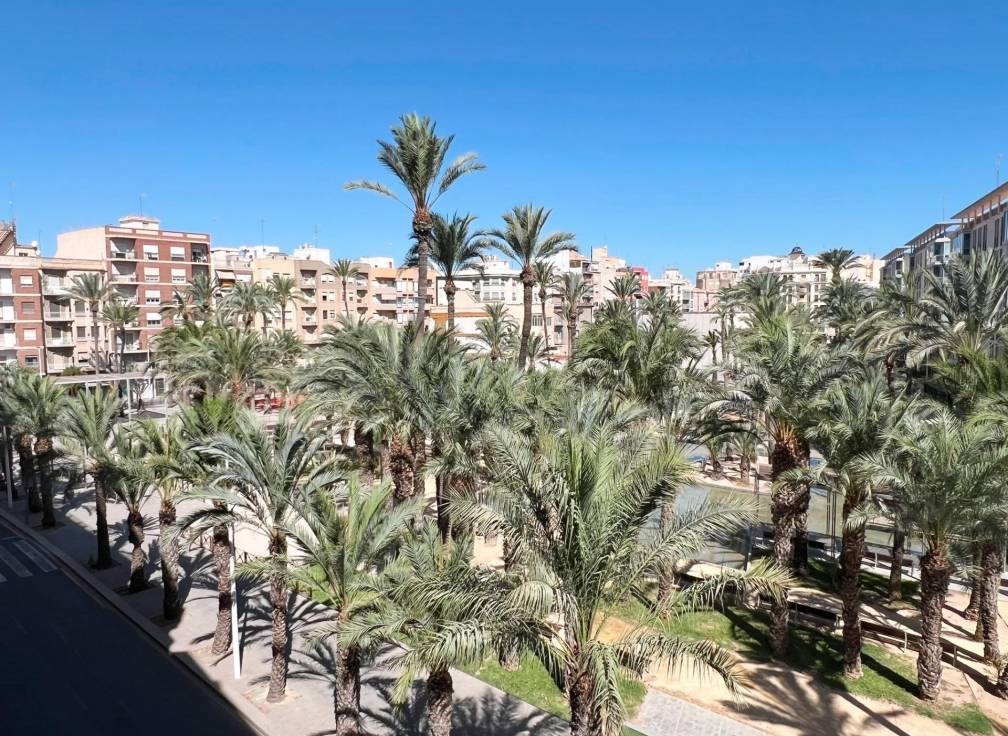 Revente - Appartement - Elche - Centro