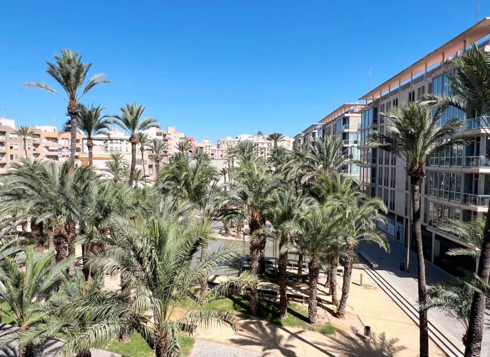 Revente - Appartement - Elche - Centro