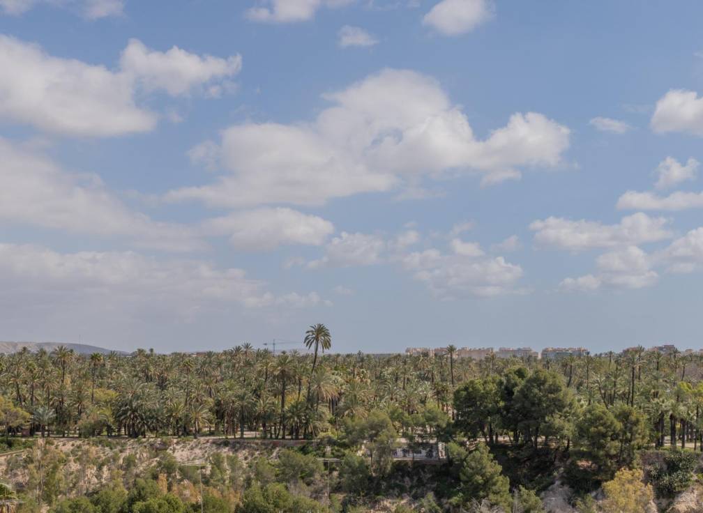 Revente - Appartement - Elche - Elche / Elx